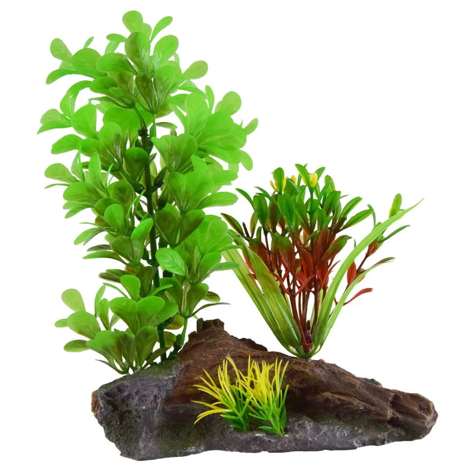 Underwater Treasures Green Ludwidgia On Wood