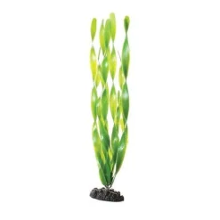 Underwater Treasures Green Jungle Vallisneria - 16"