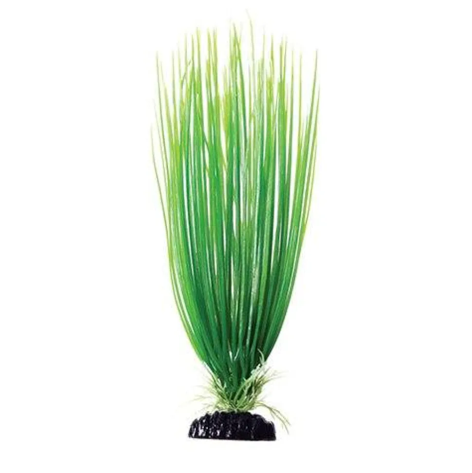 Underwater Treasures Green Hairgrass - 12"