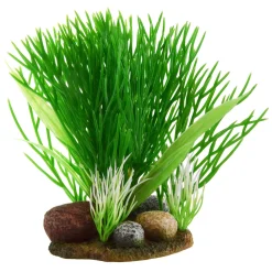 Underwater Treasures Green Bush On Rock