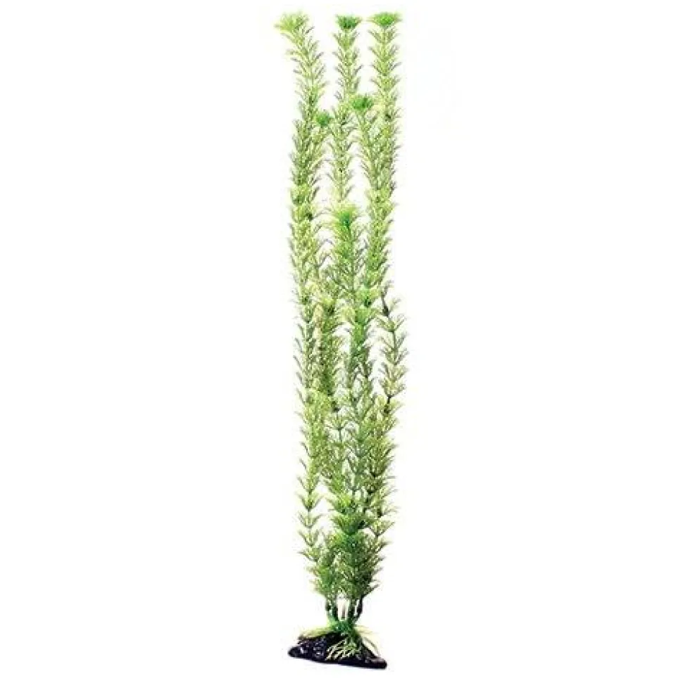 Underwater Treasures Green Cabomba - 20"