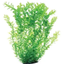 Underwater Treasures Green Cardamine - 24"