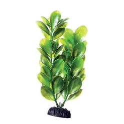 Underwater Treasures Green Bacopa - 8"