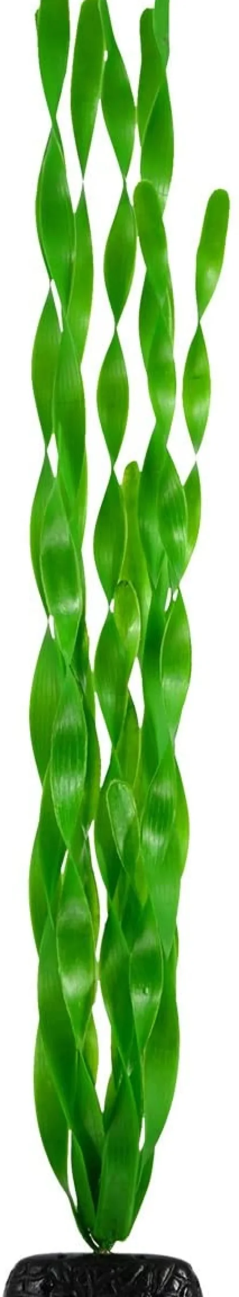 Underwater Treasures Green Jungle Vallisneria - 24"