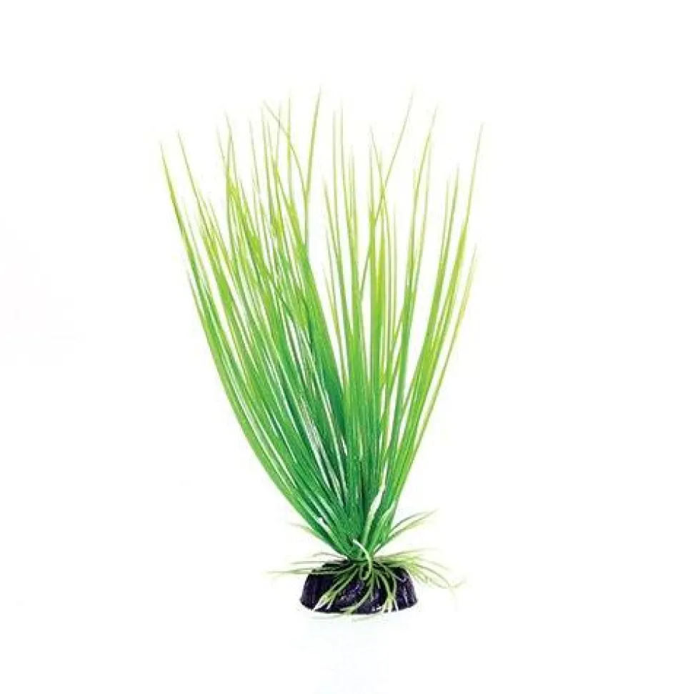 Underwater Treasures Green Hairgrass - 8"
