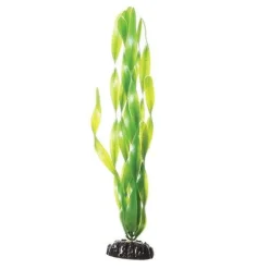 Underwater Treasures Green Jungle Vallisneria - 12"