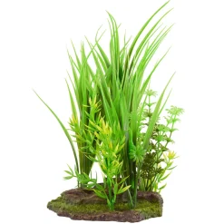 Underwater Treasures Hairgrass Trio