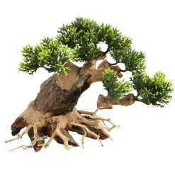 Underwater Treasures Heart Bonsai Wood - Medium