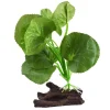 Underwater Treasures Hydrocotyle