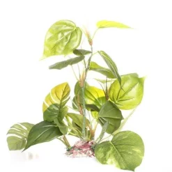 Underwater Treasures Jade Pothos - 12"