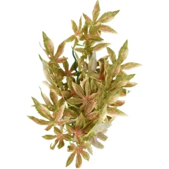 Underwater Treasures Japanese Maple - Red - 18"
