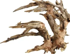 Underwater Treasures Kirin Bonsai Wood - XS - Pack of 2