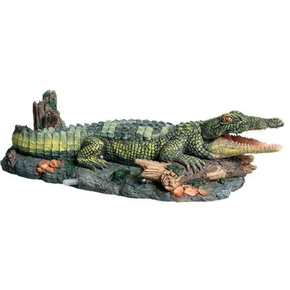 Underwater Treasures Laughing Gator