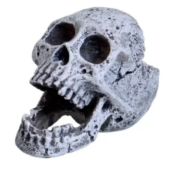Underwater Treasures Laughing Skull