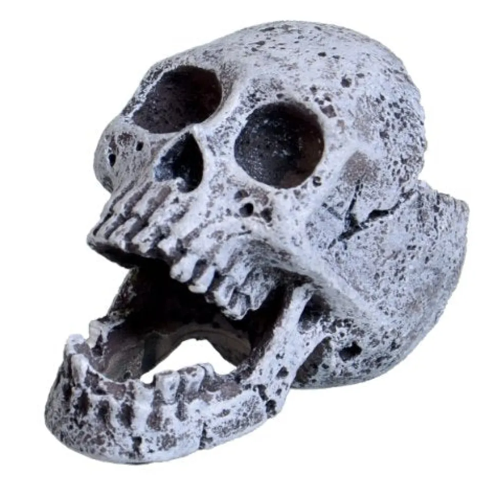 Underwater Treasures Laughing Skull