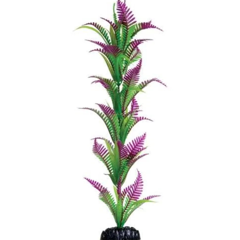 Underwater Treasures Lonely Heart Fern - 16"