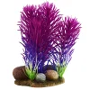 Underwater Treasures Magenta Bush