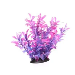 Underwater Treasures Magenta Ludwigia - 6.5"