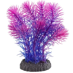 Underwater Treasures Magenta Cabomba