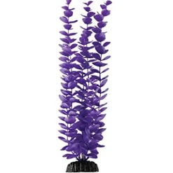 Underwater Treasures Magenta Bacopa - 14.5"