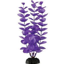 Underwater Treasures Magenta Bacopa - 8"