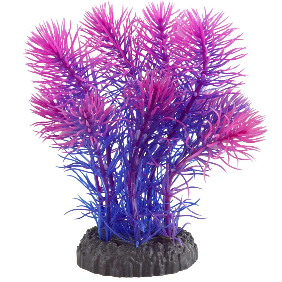 Underwater Treasures Magenta Cabomba