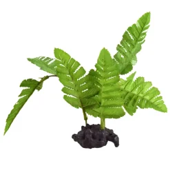 Underwater Treasures Maidenhair Fern