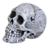 Underwater Treasures Mini Skull