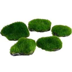 Underwater Treasures Mini Moss Rock - 5 pk