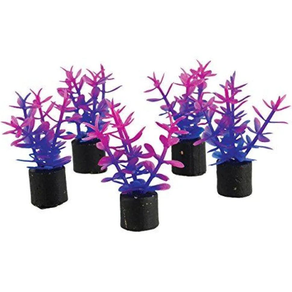 Underwater Treasures Mini Plant - Violet - 1.5" - 5 pk