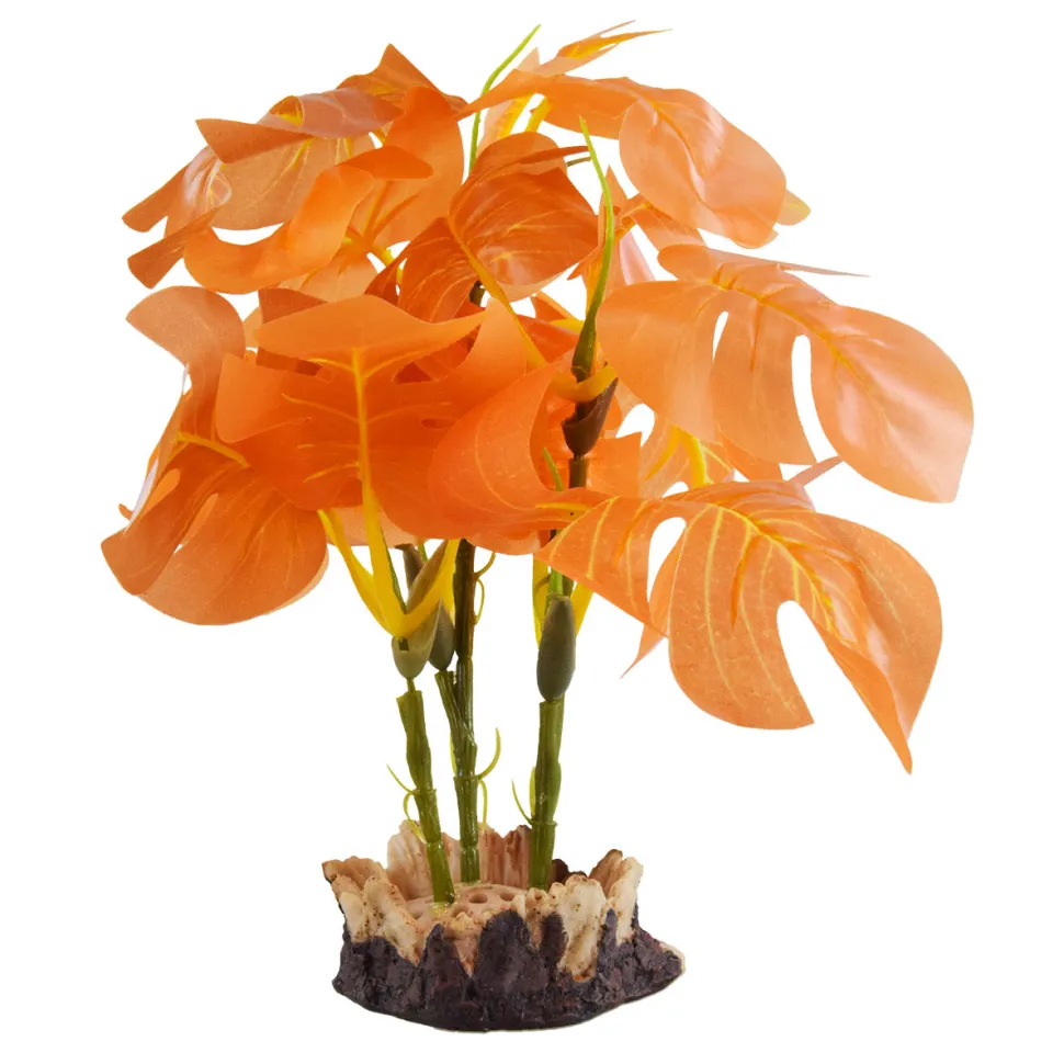 Underwater Treasures Monstera - Orange - Small