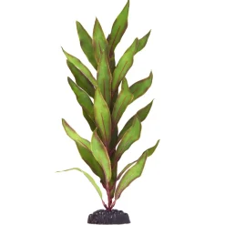 Underwater Treasures Olive Hygro - 12"