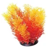 Underwater Treasures Orange Cabomba - 6"