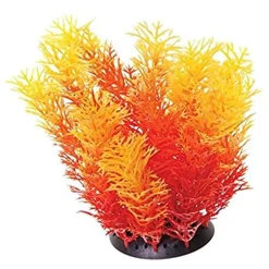 Underwater Treasures Orange Cabomba - 6"
