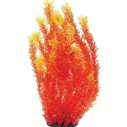 Underwater Treasures Orange Cabomba - 20"