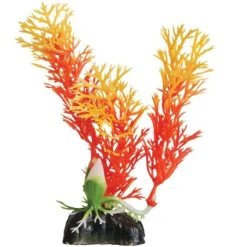 Underwater Treasures Orange Ambulia - 5" - Pack of 6
