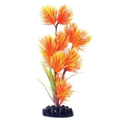 Underwater Treasures Orange/Yellow Conifer - 8"