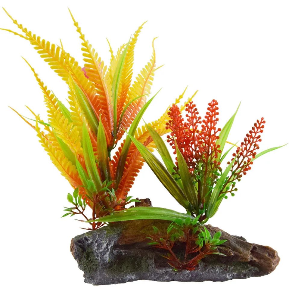 Underwater Treasures Orange Fern On Root