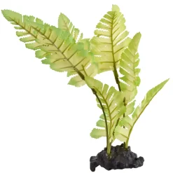 Underwater Treasures Painted Fern