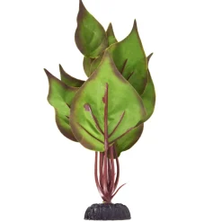 Underwater Treasures Peace Lily - 8"