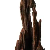 Underwater Treasures Petrified Wood - Large