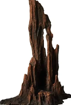 Underwater Treasures Petrified Wood - Large