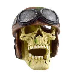 Underwater Treasures Pilot Skull