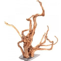 Underwater Treasures Pine Bonsai Wood - Medium - Pack of 2