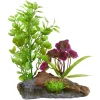 Underwater Treasures Purple Flowers On Root