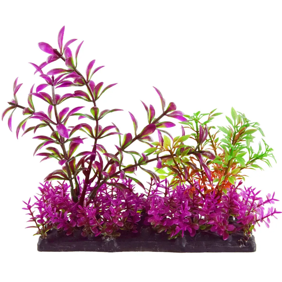 Underwater Treasures Purple Garden Mix