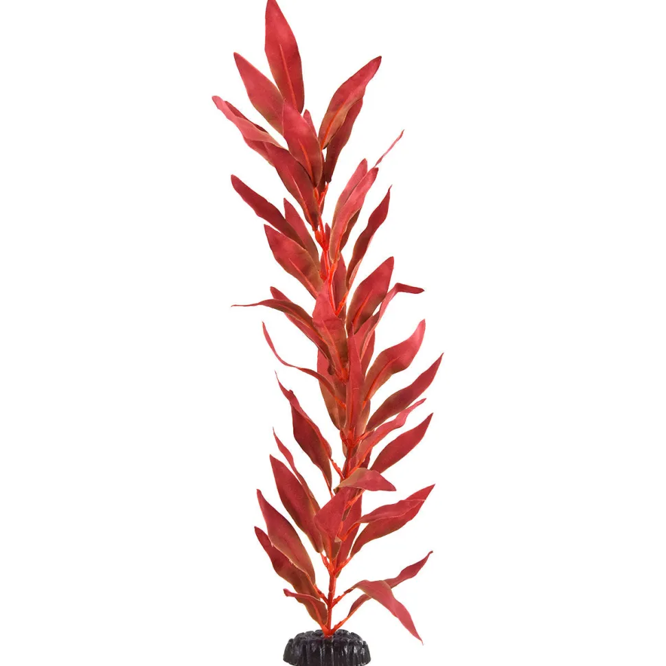 Underwater Treasures Red Hygro - 20"