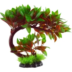 Underwater Treasures Red Ludwigia Bonsai
