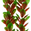 Underwater Treasures Red/Green Bacopa - 24"