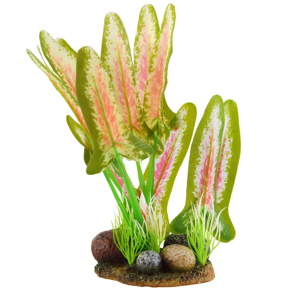 Underwater Treasures Red/White Arrowhead - Medium